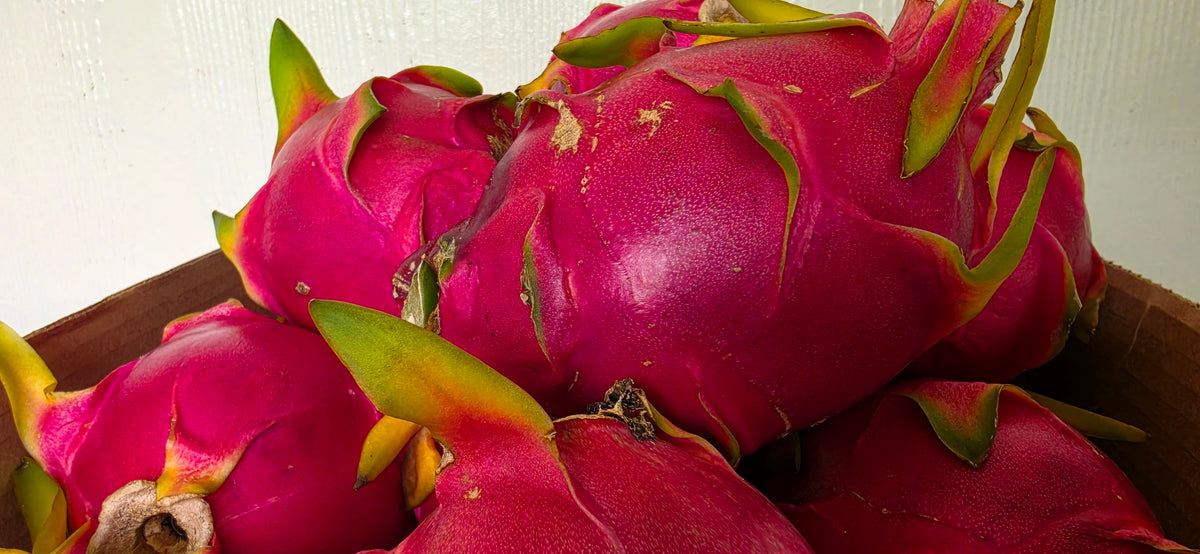 Freeze Dried Dragonfruit