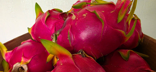 Freeze Dried Dragonfruit